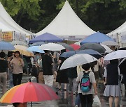 강남구 직거래장터 찾은 시민들