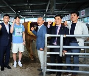 2023년 경남 한우 경진대회…함양산청축협 ‘이충희 농가’ 챔피언 영예