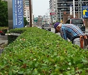 "손가락 절대 안 찾아준다" 사부다운 안전교육 [일본정원사 입문기]