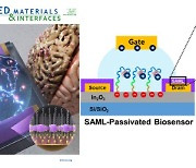 경기대, 알츠하이머병 조기진단하는 고감도 바이오센서 개발