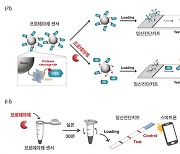 아주대 연구팀, '질병 진단키트' 개발… '프로테아제' 검출 기술 발견