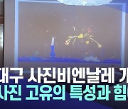 "다시 사진으로! 사진의 영원한 힘"