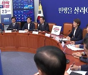 민주당 원내지도부 총사퇴…이재명 “검사 독재정권 막아야”