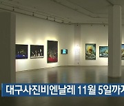 대구사진비엔날레 11월 5일까지 열려