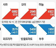 한풀 꺾인 더위…상추·깻잎 가격 안정세