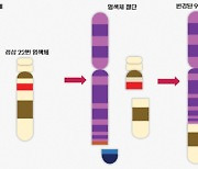 만성골수성백혈병 ‘4세대 치료제’로 완치의 꿈