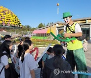 진안 홍삼축제 풍선 만들기