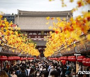 日 방일 외국인용 비자 전자화 추진…입국 절차 간편화