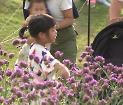 "가을바람 부니 나가고파"...야외 전시회 찾는 시민들