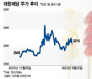 '탕후루 열풍' 이 정도야?…"달달하네" 26% 뛴 설탕주, 진짜 이유는