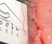 부산 산복도로의 특별한 공간 '명란브랜드연구소'