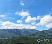 '가을 정취 즐겨볼까'…전국 축제장·유명산에 행락객 '북적'