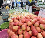 '금값' 사과 들었다 놨다 … "시장서도 지갑열기 겁난다"[현장르포]