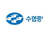 해외투자 500억 날린 수협... 금감원, '경영유의'