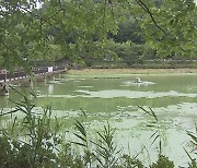 광주 도시숲·산림공원 면적 특광역시 중 '최대'