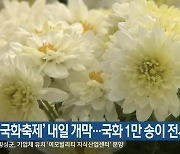 ‘국화축제’ 내일 개막…국화 1만 송이 전시