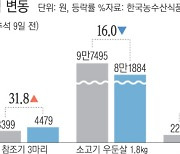 ‘평균값’은 내렸지만…추석 차례상 부담은 여전하네