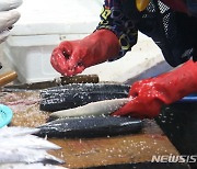 추석 앞두고 북적이는 포항 죽도시장