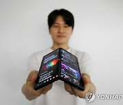 OLED 매출, 내년 'OLED 탑재 아이패드' 힘입어 반등 가능성