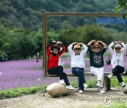 인제 가을꽃축제