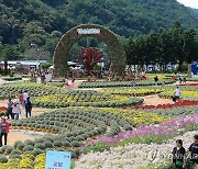 인제 가을꽃축제에서 남기는 추억