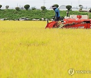 전남도, 공공비축미 12월까지 14만4천t 매입