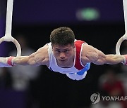 China Asian Games Gymnastics