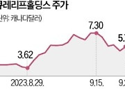 대마초 규제 풀리나…큐레리프 한 달새 51%↑