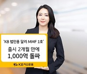 'KB 법인용 달러 MMF 1호'…출시 두 달 만 1,000억 원 돌파