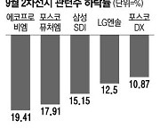 리튬가격 하락 된서리 2차전지株 주가 우수수