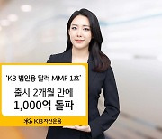 ‘KB 법인용 달러 MMF 1호’ 출시 2개월 만에 1000억 돌파 [투자360]