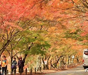 추석연휴 전국 11개 국립공원 직영주차장 요금 '무료'