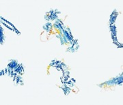 단백질 구조 예측 AI에 물음표 던진 네이처… 실험 검증·데이터 공유 필요해
