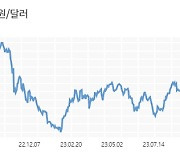 원·달러 환율, 연고점 경신...1350원 턱밑까지 올라