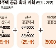 공공주택 속도전…5만5000가구 더 짓는다 [주택공급 활성화 대책]