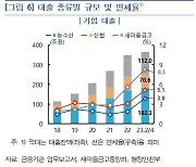 상호금융 기업대출 연체율 급등세 [금융안정보고서]