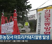 화천 양돈농장서 아프리카돼지열병 발생