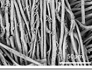 Korean researchers develop solid-state battery with high ion conductivity