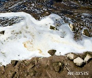 EU, 과불화화합물 제한에…산업부 '검토 필요' 의견 전달