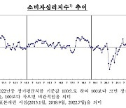 소비 심리도, 기업 경기 전망도 얼어붙었다