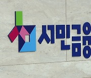 햇살론 버티면 된다?…1년 새 대위변제 7400% 폭증