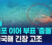 [D리포트] 물대포 이어 부표 '충돌'…남중국해 긴장 고조