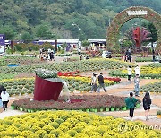 향기 가득한 '인제 가을꽃축제'