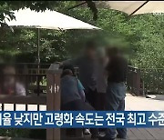 고령 인구 비율 낮지만 고령화 속도는 전국 최고 수준