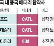 'IRA 꼼수' 논란에…포드, 中CATL과 합작 중단