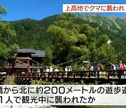 韓관광객, 日 산책로서 '곰 습격' 봉변…"머리·팔 부상, 생명 지장 없어"