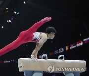 Belgium Gymnastics Worlds