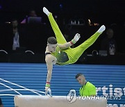 Belgium Gymnastics Worlds