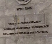 美中 WTO 개혁 '동상이몽'...진단과 처방은 정반대