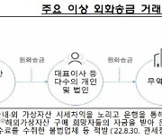 "지난해 불법 외환거래 6.3조원"